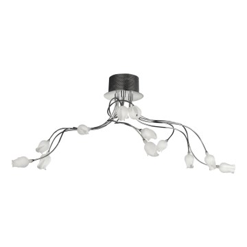 Philips Eseo 37825/11/13 - Stropní svítidlo ERBA 12xG4/20W