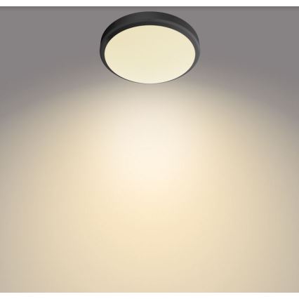 Philips - LED Koupelnové stropní svítidlo LED/6W/230V IP44