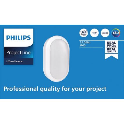 Philips - LED Nástěnné svítidlo PROJECTLINE LED/15W/230V IP65