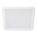 Philips - LED Podhledové svítidlo MESON LED/13W/230V 4000K 14x14 cm