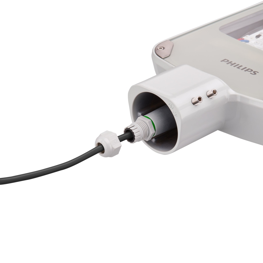 Philips - LED Pouliční lampa CORELINE MALAGA LED/25W/230V 4000K IP65