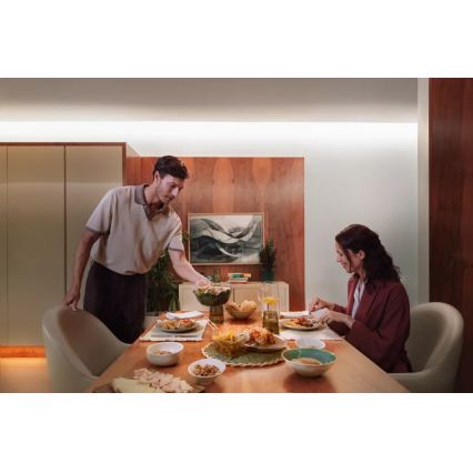 Philips - LED RGBW Stmívatelný pásek Hue FLUX 3m LED/29W/230V 2200-6500K + Hue bridge