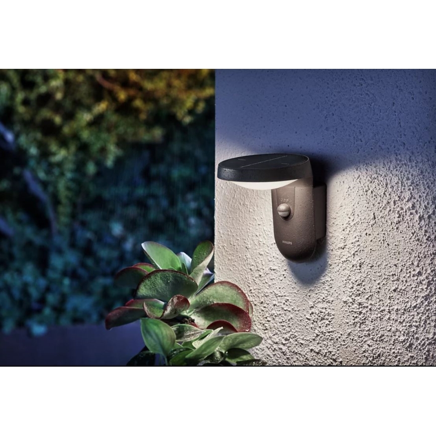 Philips - LED Solární nástěnné svítidlo se senzorem pohybu a soumraku LED/1,2W/4V 1800 mAh 4000K IP44
