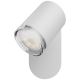 Philips - LED Stmívatelné koupelnové svítidlo Hue ADORE 1xGU10/5W/230V IP44 + dálkové ovládání