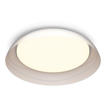 Philips - LED Stmívatelné stropní svítidlo FLETA SCENE SWITCH LED/10W/230V 2700K čirá