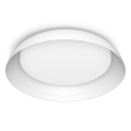 Philips - LED Stmívatelné stropní svítidlo FLETA SCENE SWITCH LED/10W/230V 4000K bílá