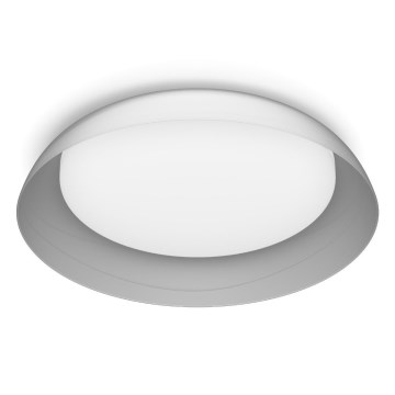Philips - LED Stmívatelné stropní svítidlo FLETA SCENE SWITCH LED/10W/230V 4000K čirá