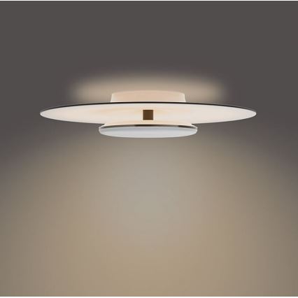 Philips- LED Stmívatelné stropní svítidlo SCENE SWITCH LED/40W/230V 2700K černá