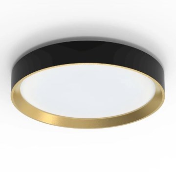 Philips - LED Stmívatelné stropní svítidlo HANNO SCENE SWITCH LED/24W/230V 4000K černá