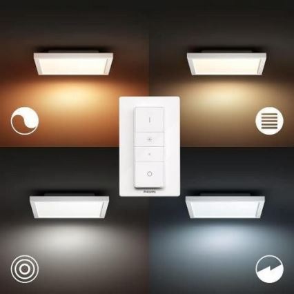 Philips - LED Stmívatelné stropní svítidlo Hue LED/19W/230V 2200-6500K + dálkové ovládání
