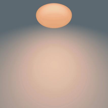 Philips - LED Stmívatelné stropní svítidlo LED/23W/230V + dálkové ovládání