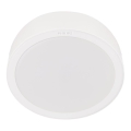 Philips - LED Stropní svítidlo LED/16,5W/230V