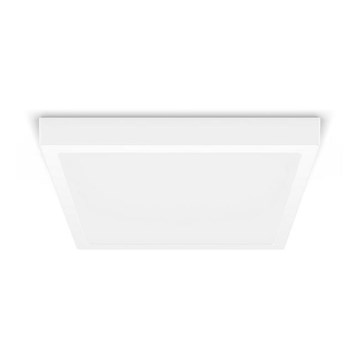 Philips - LED Stropní svítidlo LED/20W/230V 2700K bílá