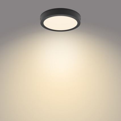 Philips - LED Stropní svítidlo LED/12W/230V 2700K černá