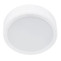 Philips - LED Stropní svítidlo MESON LED/16,5W/230V 3000K