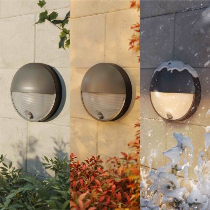 Philips - LED Venkovní nástěnné svítidlo se senzorem CAPRICORN LED/4,3W/230V IP44