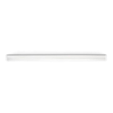 Philips Massive 35524/31/10 - LED Stropní svítidlo VICTORY LINE 2xLED/10W/230V
