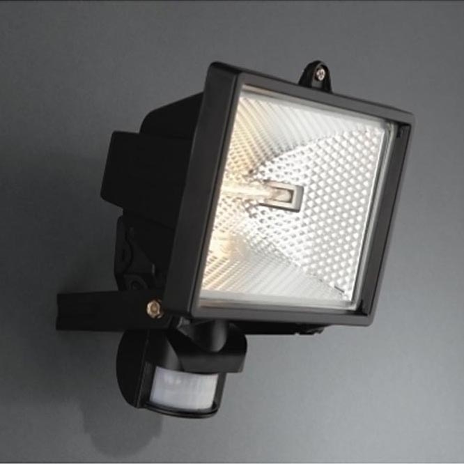 Philips Massive 74946/81/30 - Venkovní reflektor 1xR7S/100W/230V IP44