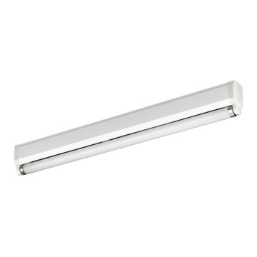 Philips Massive 85110/18/31 - Zářivkové svítidlo ECONOMYLINE 1xG13/18W Philips Massive 85110/18/31 - Zářivkové svítidlo ECONOMYLINE 1xG13/18W