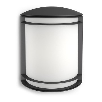 Philips - Venkovní nástěnné svítidlo LED/6W/230V IP44