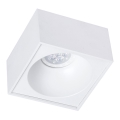 Podhledové bodové svítidlo BALI 1xGU5,3/MR16/50W/12V hranatý bílá