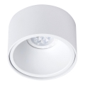 Podhledové bodové svítidlo BALI 1xGU5,3/MR16/50W/12V kulatý bílá