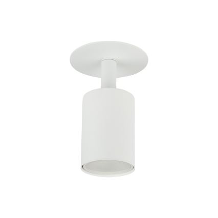 Podhledové bodové svítidlo NEX 1xGU10/10W/230V bílá