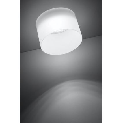 Podhledové bodové svítidlo TUBA 1xGU10/50W/230V