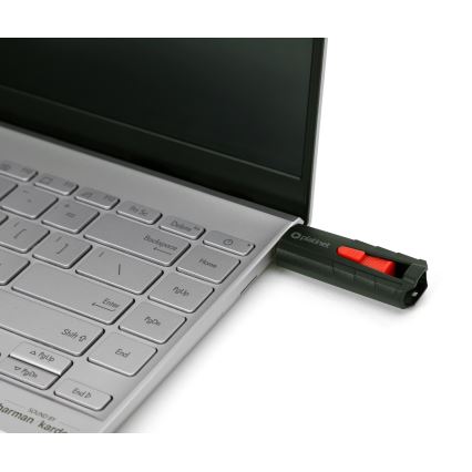 Přenosný SSD disk 250 GB USB 3.2 Gen2