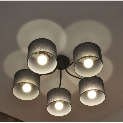 Přisazený lustr ALBA 5xE27/15W/230V šedá