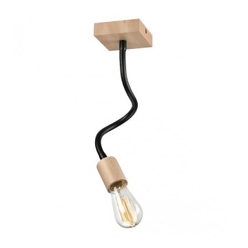 Přisazený lustr CAMERON 1xE27/60W/230V