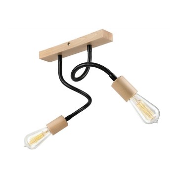Přisazený lustr CAMERON 2xE27/60W/230V