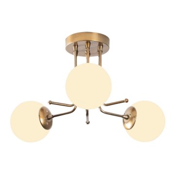 Přisazený lustr DAISY 3xE27/40W/230V