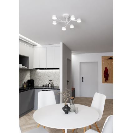 Přisazený lustr HALO 6xGX53/8W/230V bílá