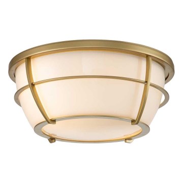 Quoizel - Koupelnové stropní svítidlo CHANCE 2xE27/60W/230V IP44