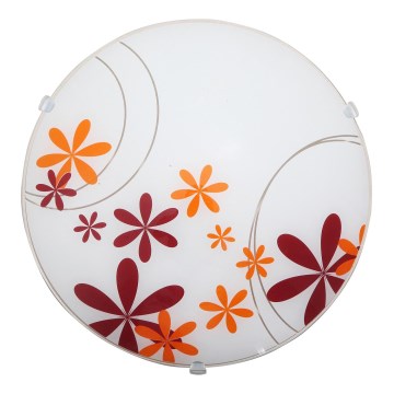 Rabalux 1896 - Stropní svítidlo IRIS 1xE27/60W/230V Rabalux 1896 - Stropní svítidlo IRIS 1xE27/60W/230V