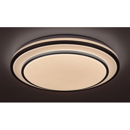 Rabalux - LED Stmívatelné stropní svítidlo LED/40W/230V 3000-6500K stříbrná + dálkové ovládání