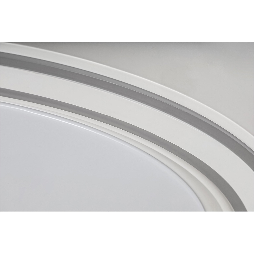 Rabalux - LED RGB Stmívatelné svítidlo LED/40W/230V 2700-6500 Wi-Fi + Do pr. 51 cm
