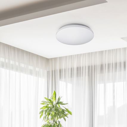 Rabalux - LED Stropní svítidlo 1xLED/32W/230V pr. 38 cm