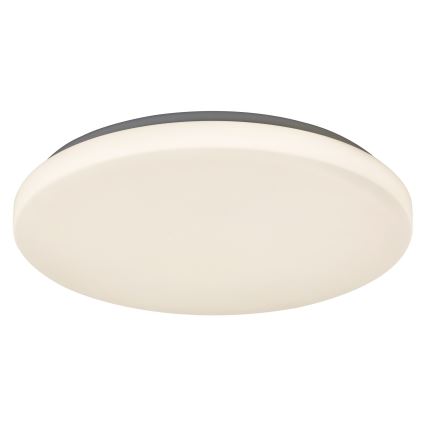 Rabalux - LED Stropní svítidlo 1xLED/32W/230V pr. 38 cm