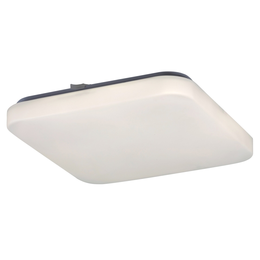 Rabalux - LED Stropní svítidlo 1xLED/20W/230V 28x28 cm