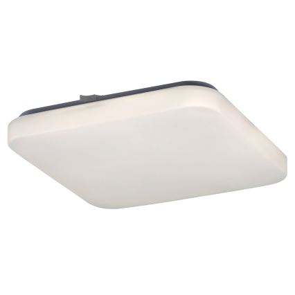 Rabalux - LED Stropní svítidlo LED/20W/230V 28x28 cm