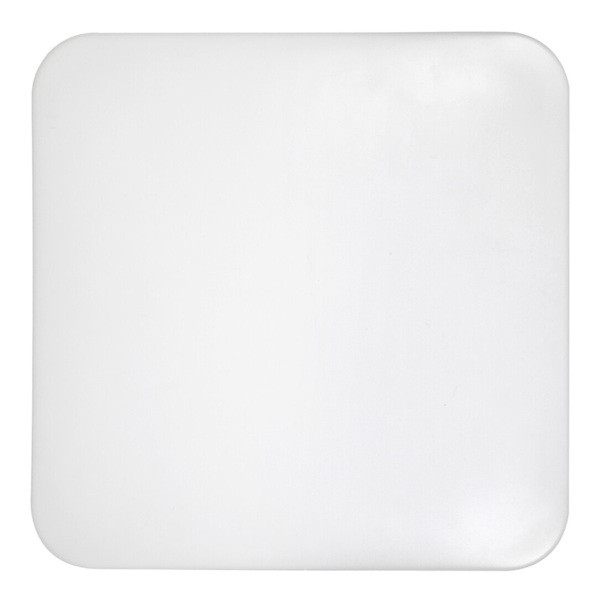 Rabalux - LED Stropní svítidlo 1xLED/32W/230V