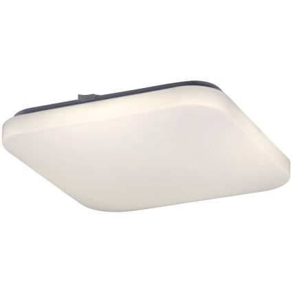 Rabalux - LED Stropní svítidlo LED/32W/230V 32x32 cm