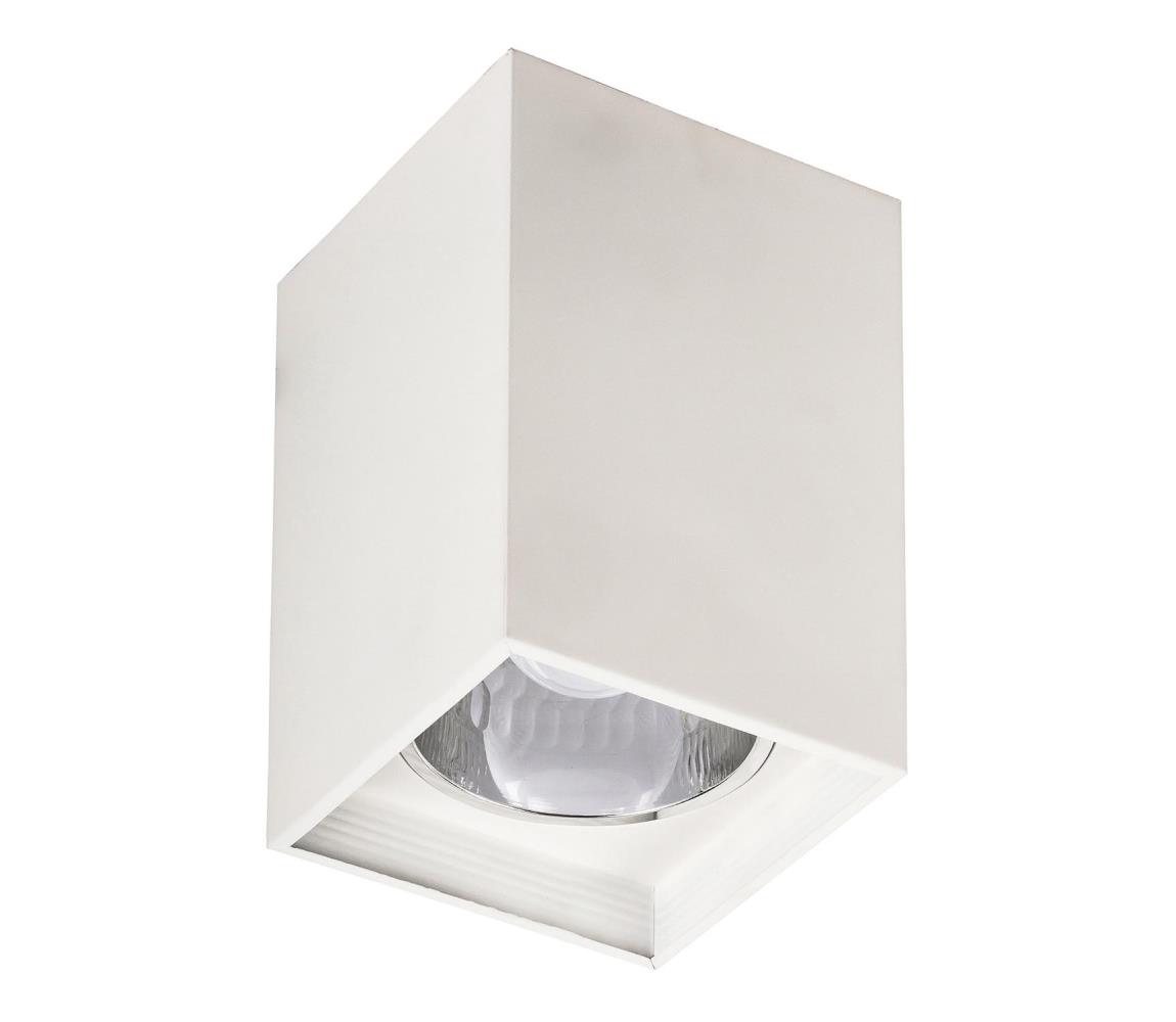 Rabalux Rabalux 2486 - Stropní svítidlo MADDOX 1xE27/60W/230V RL2486