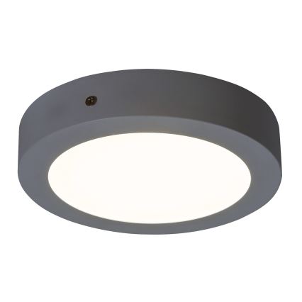 Rabalux - LED Stropní svítidlo LED/12W/230V