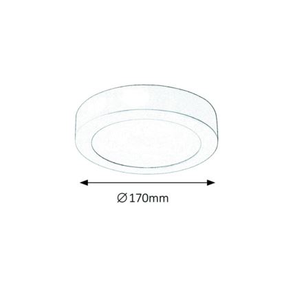 Rabalux - LED Stropní svítidlo LED/12W/230V