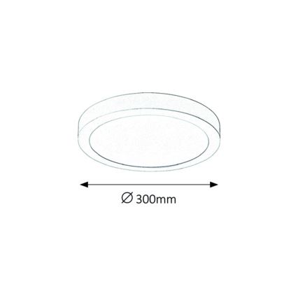 Rabalux - LED Stropní svítidlo LED/24W/230V