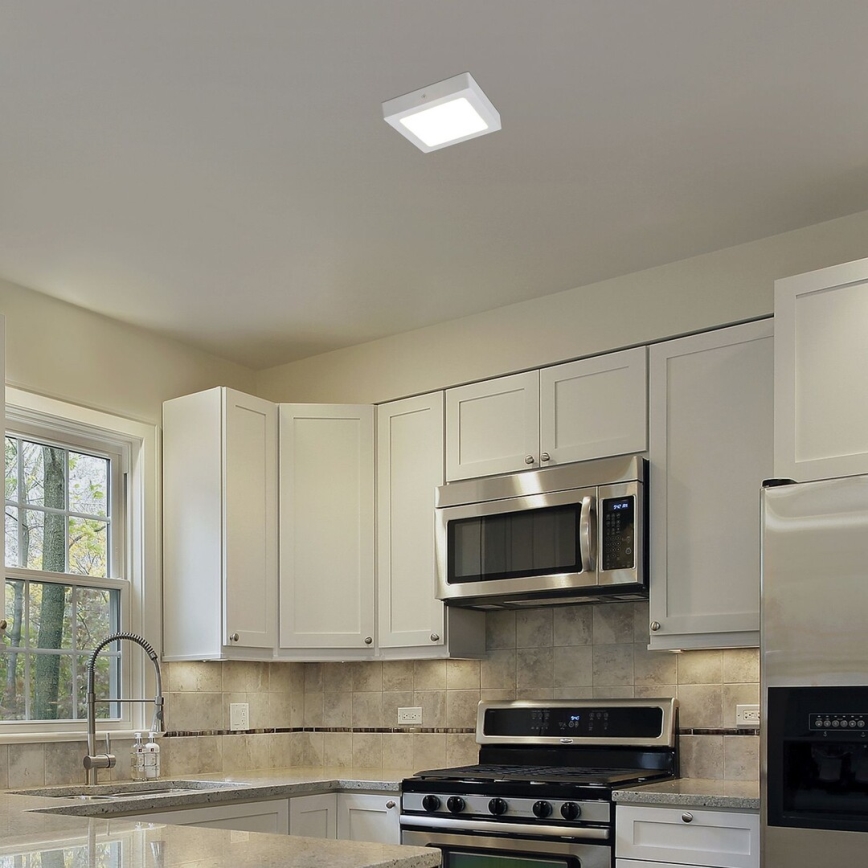 Rabalux - LED Stropní svítidlo LED/12W/230V