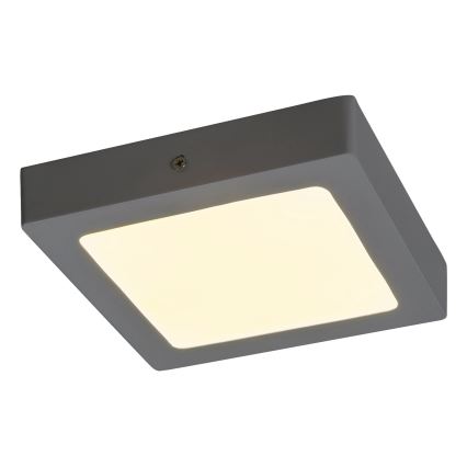 Rabalux - LED Stropní svítidlo LED/12W/230V